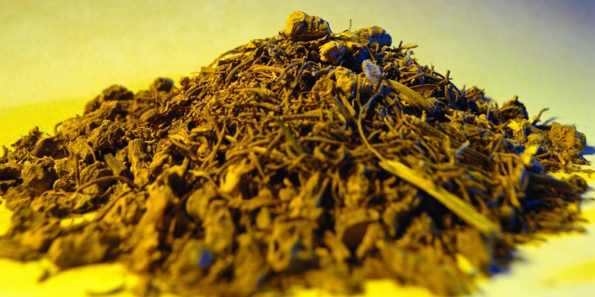goldenseal is a berberine PCOS source
