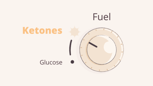 Intermittent fasting times